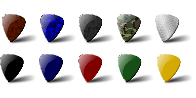 Guitar Pick “Preservation”